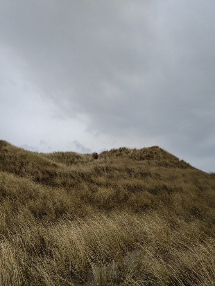 Schotland (102 van 180)