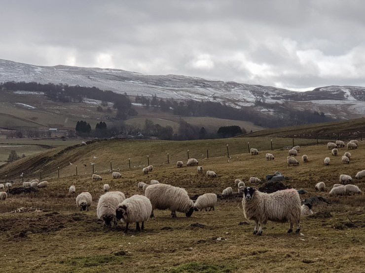 Schotland (15 van 180)