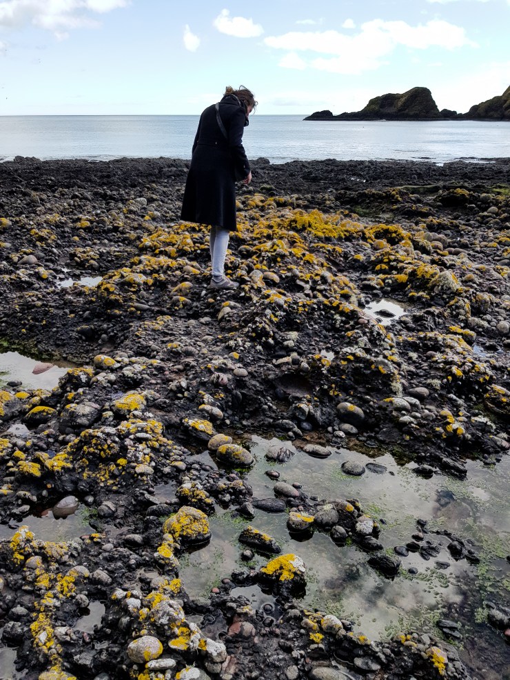 Schotland (61 van 180)