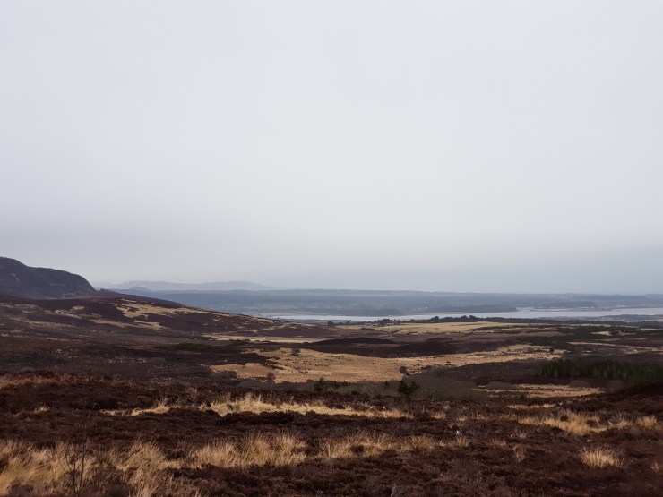 Schotland (82 van 180)